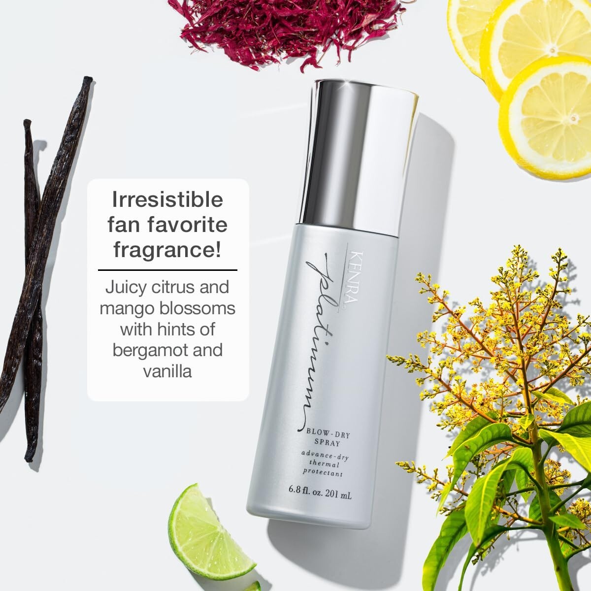 Kenra Platinum Blow-Dry Spray Detangles Smooths Softens - 6.8oz - 2 Pack