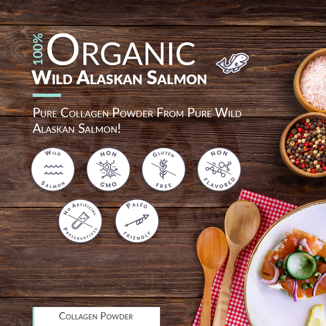 Wild Alaskan Salmon Bone Broth Powder - Pure Protein Organics - Unflavored