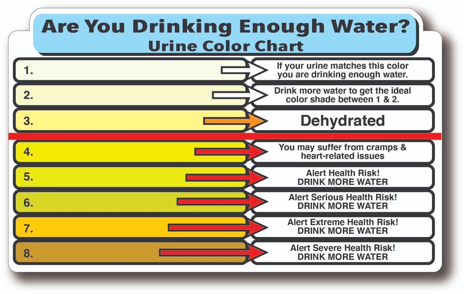 URINE COLOR CHART HYDRATION HIGH QUALITY WATERPROOF GLOSS UV DECAL STICKER