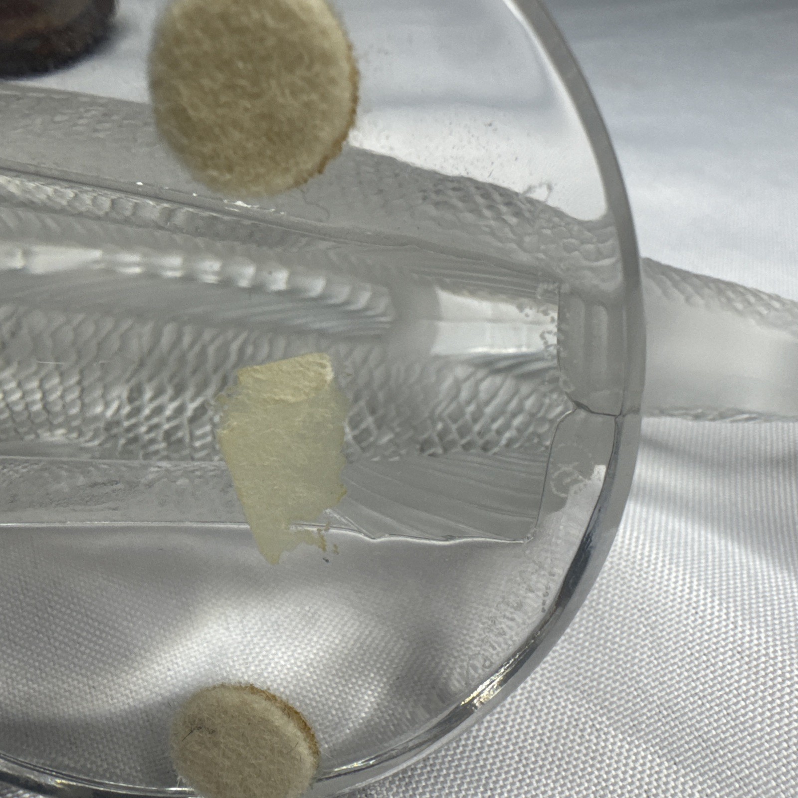 Signed Lalique Crystal Perch Art Glass “Poission Perche”