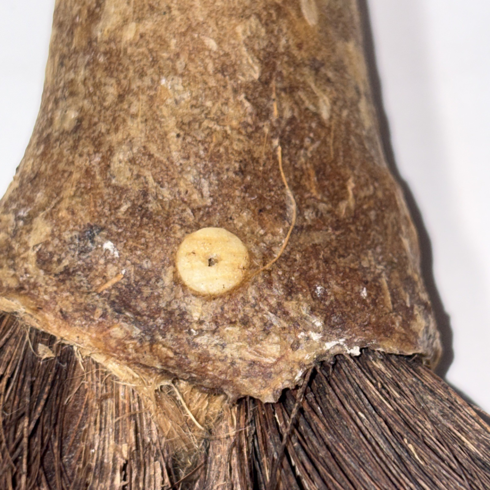 CHUKCHANSI OR MIWOK NATIVE AMERICAN SOAPROOT BRUSH 4”