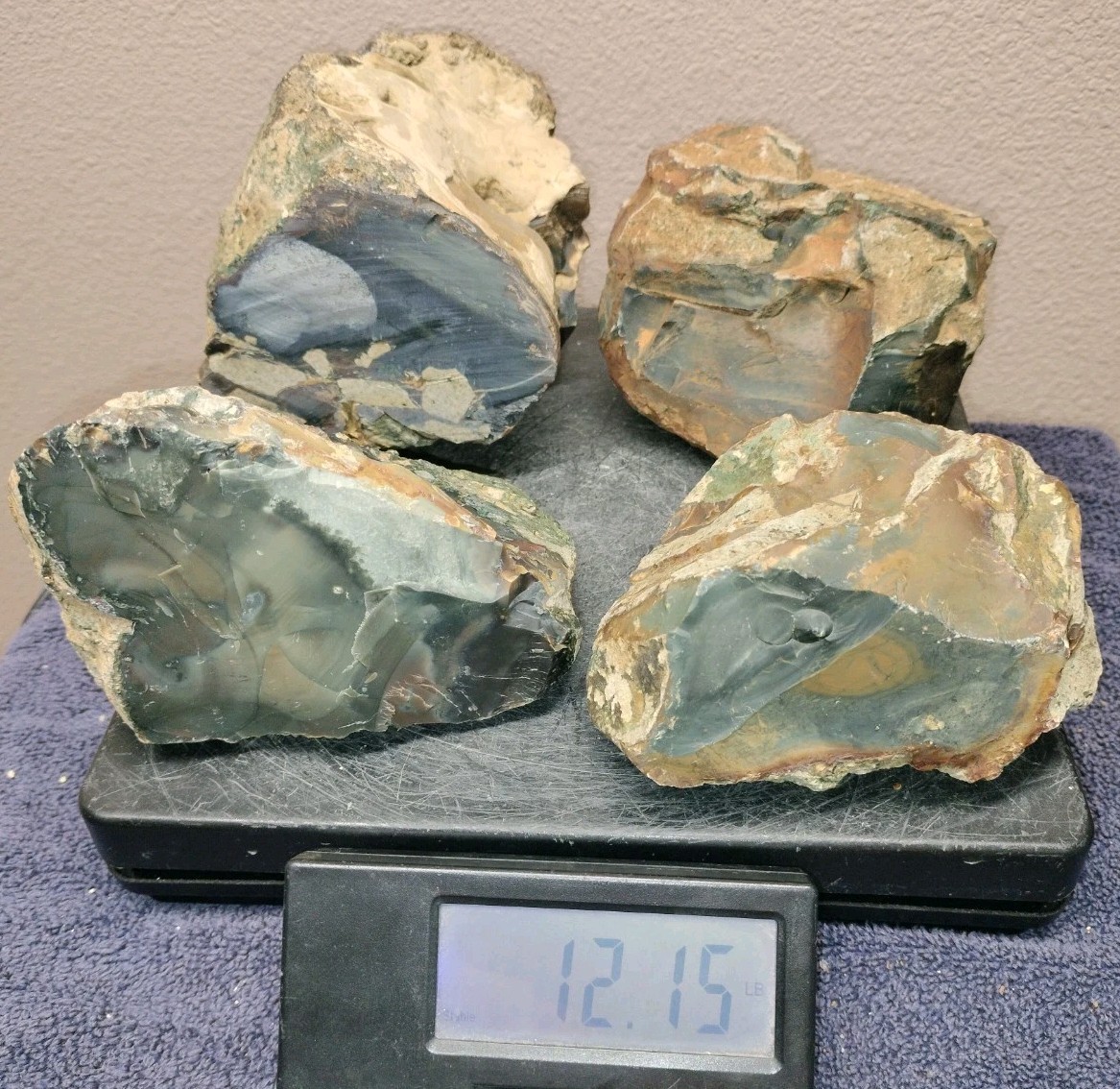 12LB ORBS Blue Mountain Picture of Jasper Rough 4pc Lot #21