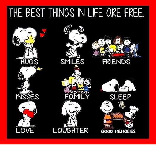 The Best Things In Life Are Free Love Family Snoopy Refrigerator Fridge MAGNET