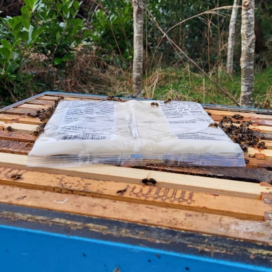 Hive Alive Fondant Bee Food Supplement - With Vitamins & Amino Acids Fresh feed!