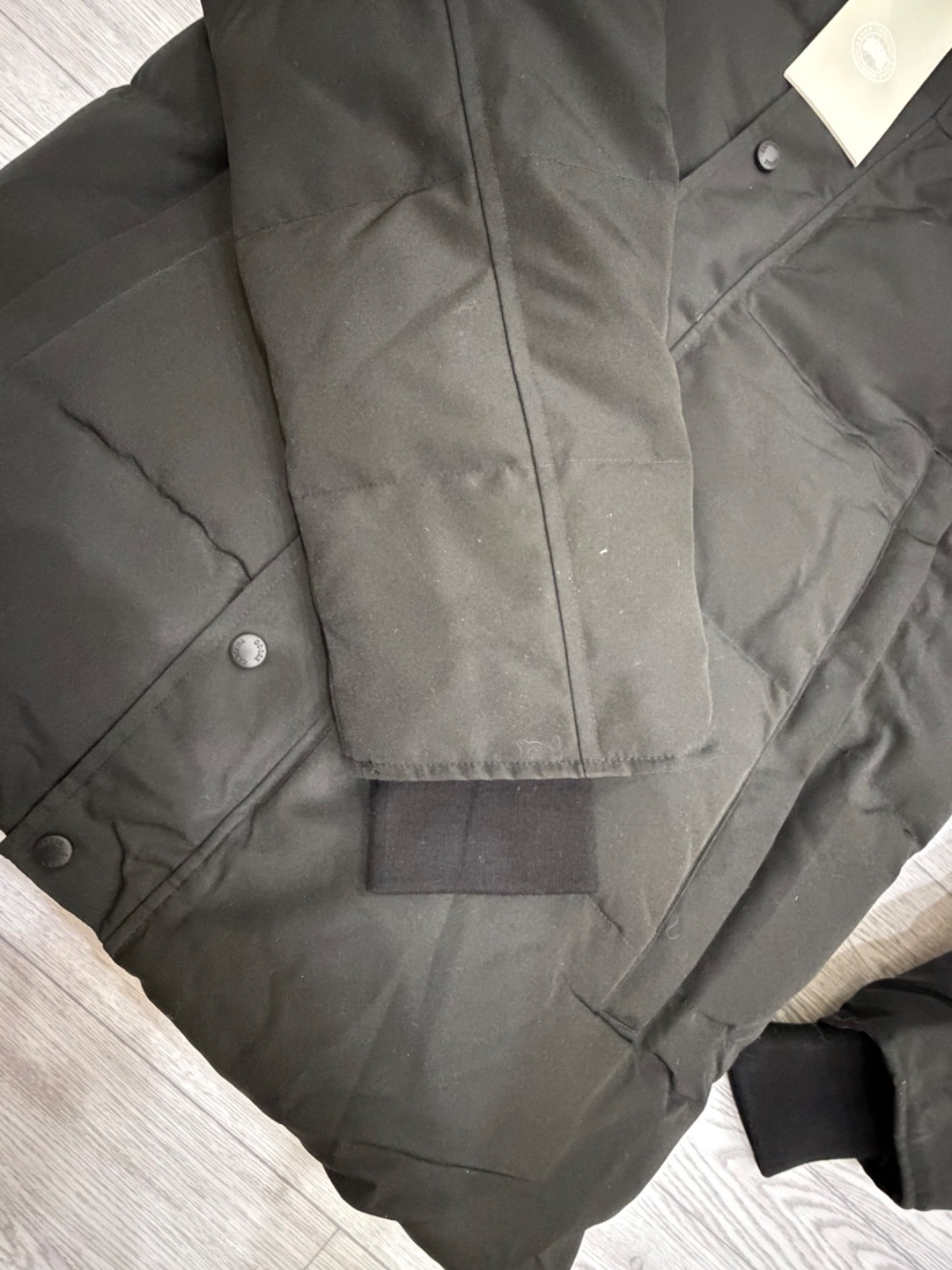 Canada goose jacket