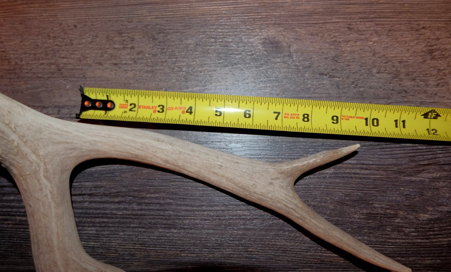 Nice Set Mule Deer Antlers Sheds Taxidermy Mount Cabin Decor Buck Horns