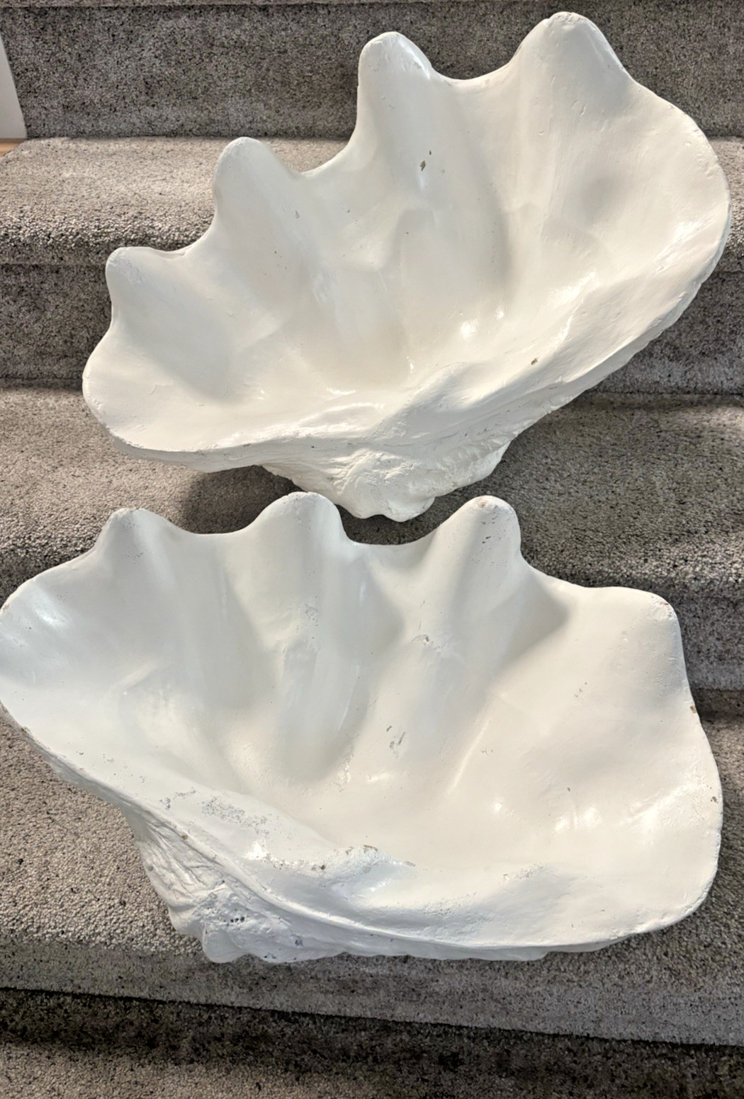 Giant man made clam shell 21.5" x 14" Great Party Decoration