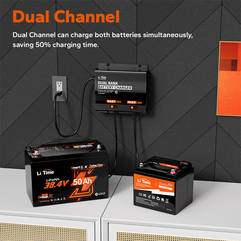LiTime 14.6V+43.8V 10A Dual Bank AC-DC Battery Charger for 12V + 36V LiFePO4 AGM