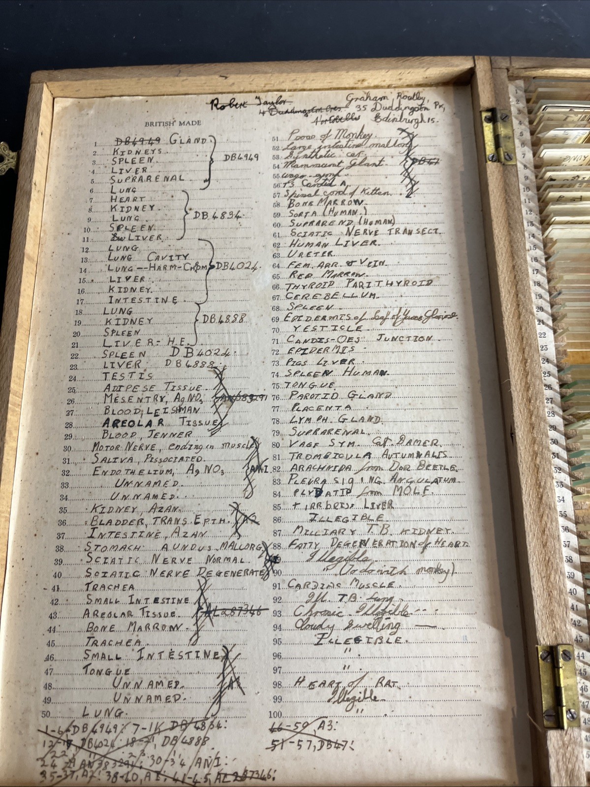 Antique 1936 University of Edinburgh Histology Microscope Slide Set Case 83