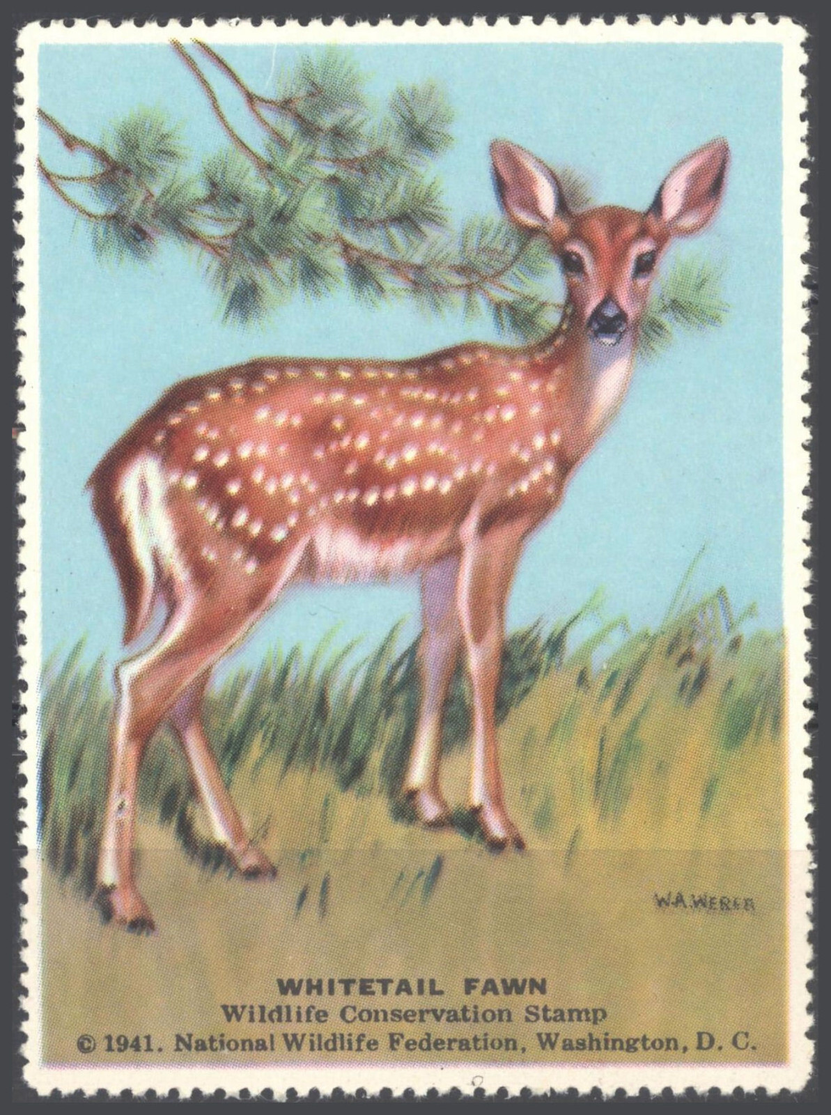 Cinderella Stamp - National Wildlife Federation - Whitetail Fawn - 1941