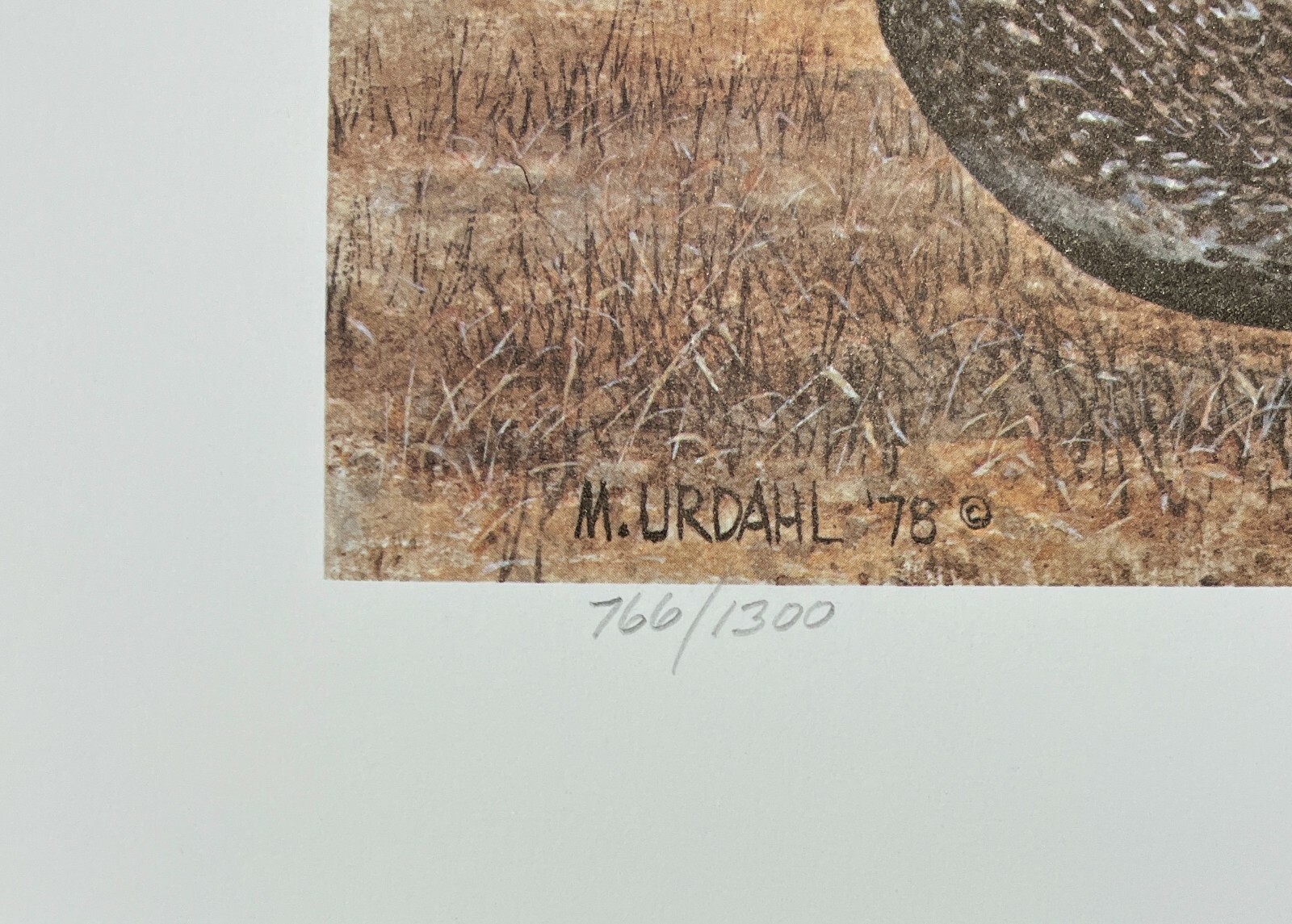 1978 MONTANA - State Duck & Bird Print - Sage Grouse - ARTIST SIGNED STAMP