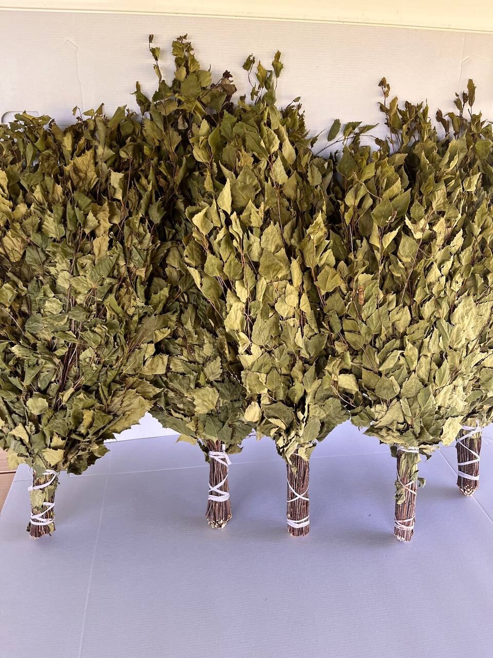 12 Birch brooms NEW SEASON 2025 sauna banya venik Eiche whisks eco Ukrainian