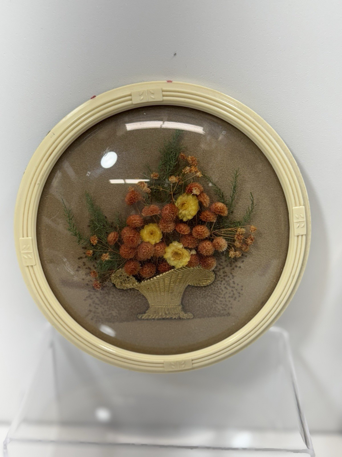 Vintage Belgium Cide Art Dried Flower Art Preserved Under Domed Glass Frame