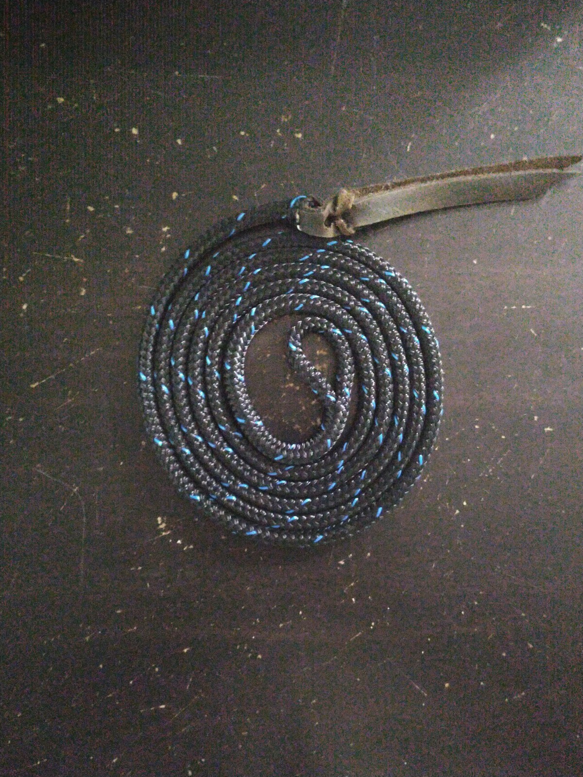 5' TRAINING SAVVY STRING W/POPPER FOR PARELLI CARROT HANDY STICK, MANY COLORS!