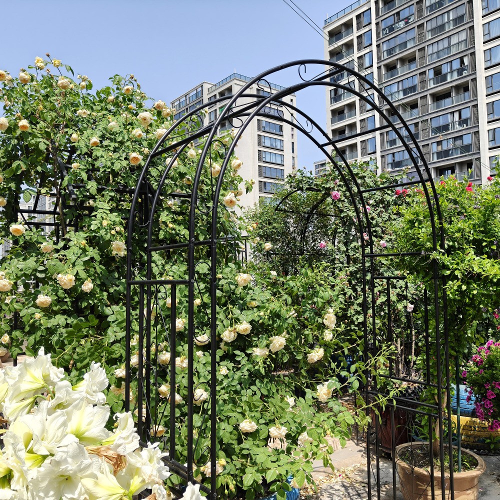Black Metal Garden Arch 59x17.71x90.55 Inch Climbing Plants Support Rose Trellis