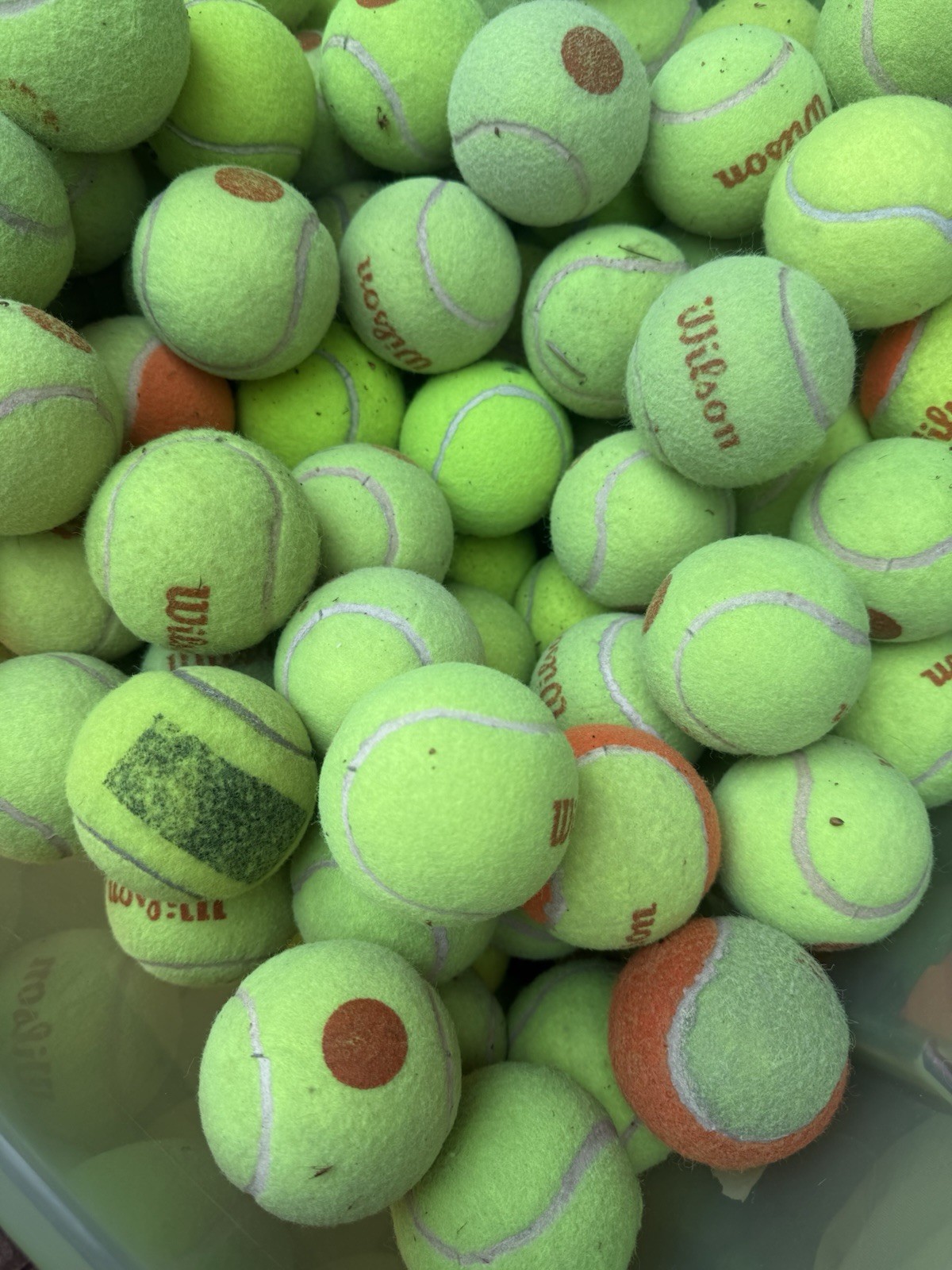 10 of Good Grade used Tennis Balls from Wilson, Dunlop, Penn, Head, etc Dog Toys