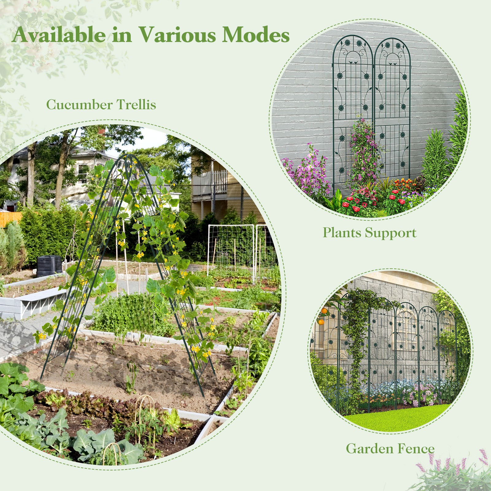 2 Pack 71" x 20" Metal Garden Trellis Rustproof Plant Support for Garden Yard
