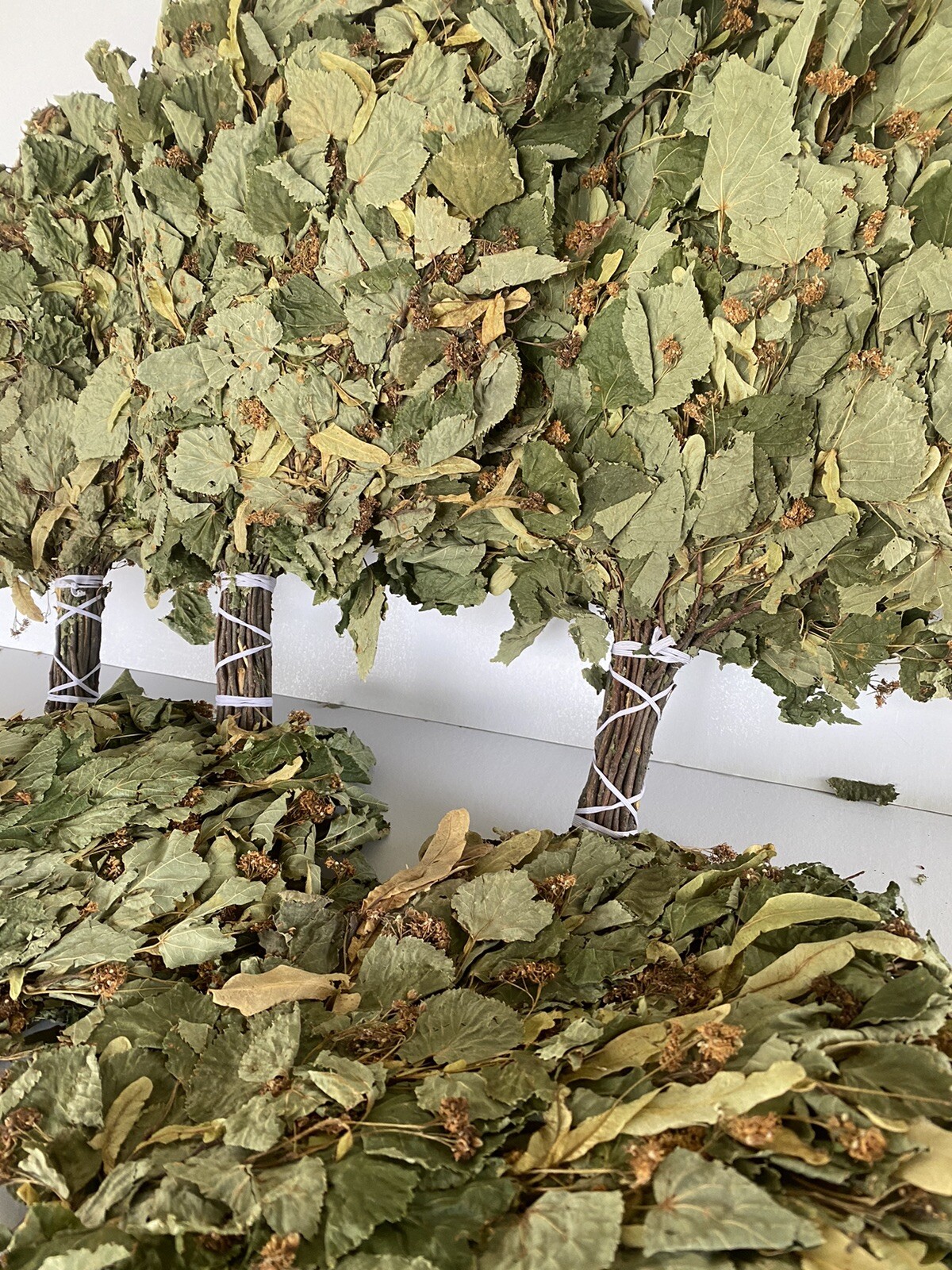 12 Birch brooms NEW SEASON 2025 sauna banya venik Eiche whisks eco Ukrainian