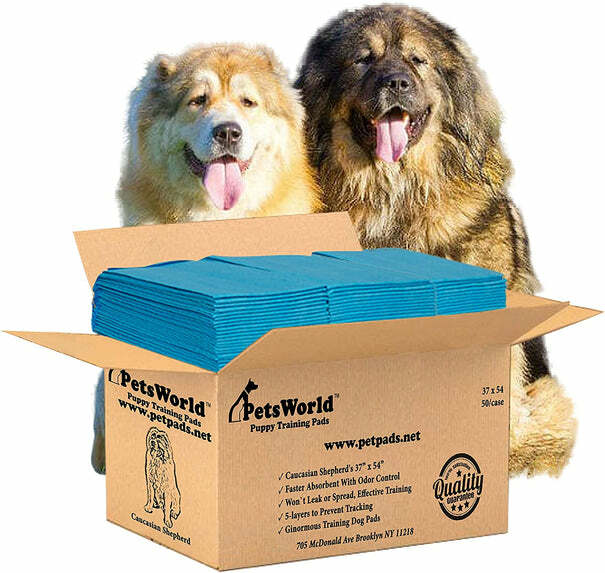 PETSWORLD Enormous Dog Training/Potty Pads (37x54 inch)