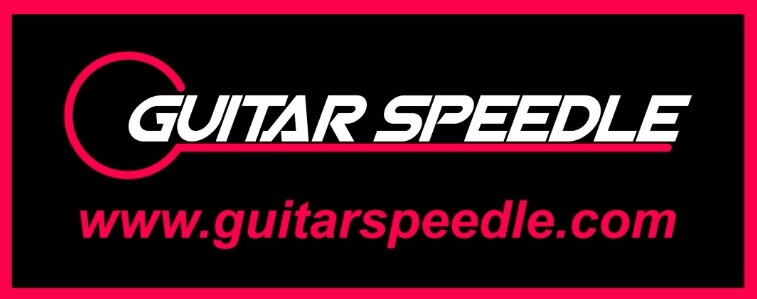 Guitar Pick Sampler Picks Randomly Chosen 1 3 6 12 Choose Qty