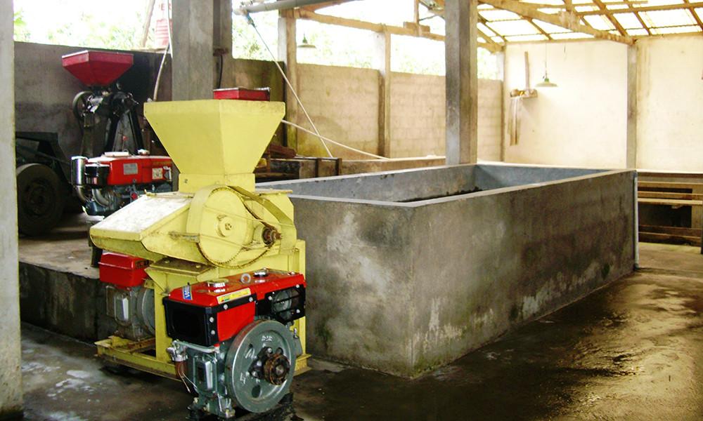 TANZANIA KILIMANJARO COFFEE BEANS PEABERRY MEDIUM ROASTED 5 POUNDS