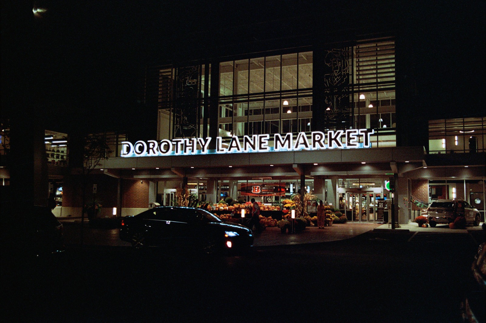 NIGHT ALIEN - 35mm Color Negative High Speed Film 800D - 36 exp C-41 BRAND NEW