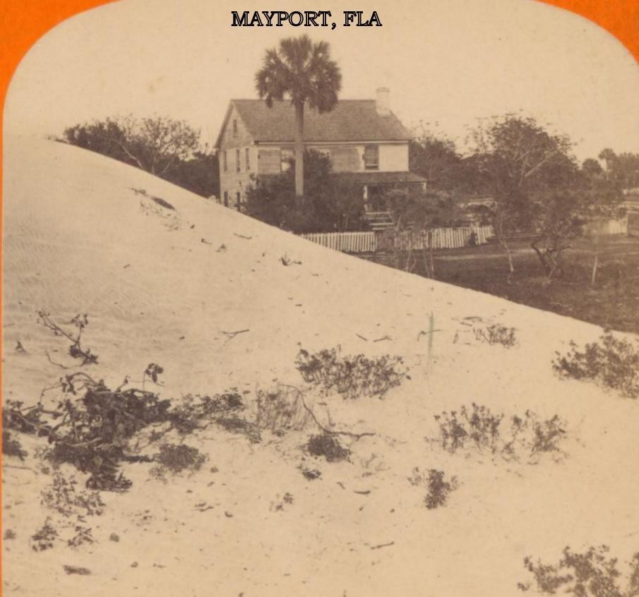 Studio pose of Father and two Daugthers, .M.V. LOMAX ~ ABBEVILLE ,S.C.