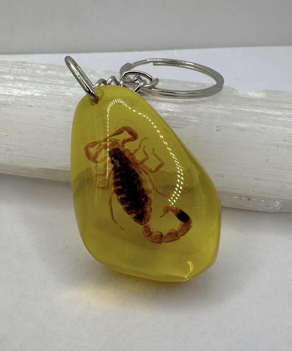 Scorpion Amber Keychain, Scorpion Keychain, Unique Keychain, Arizona Gift