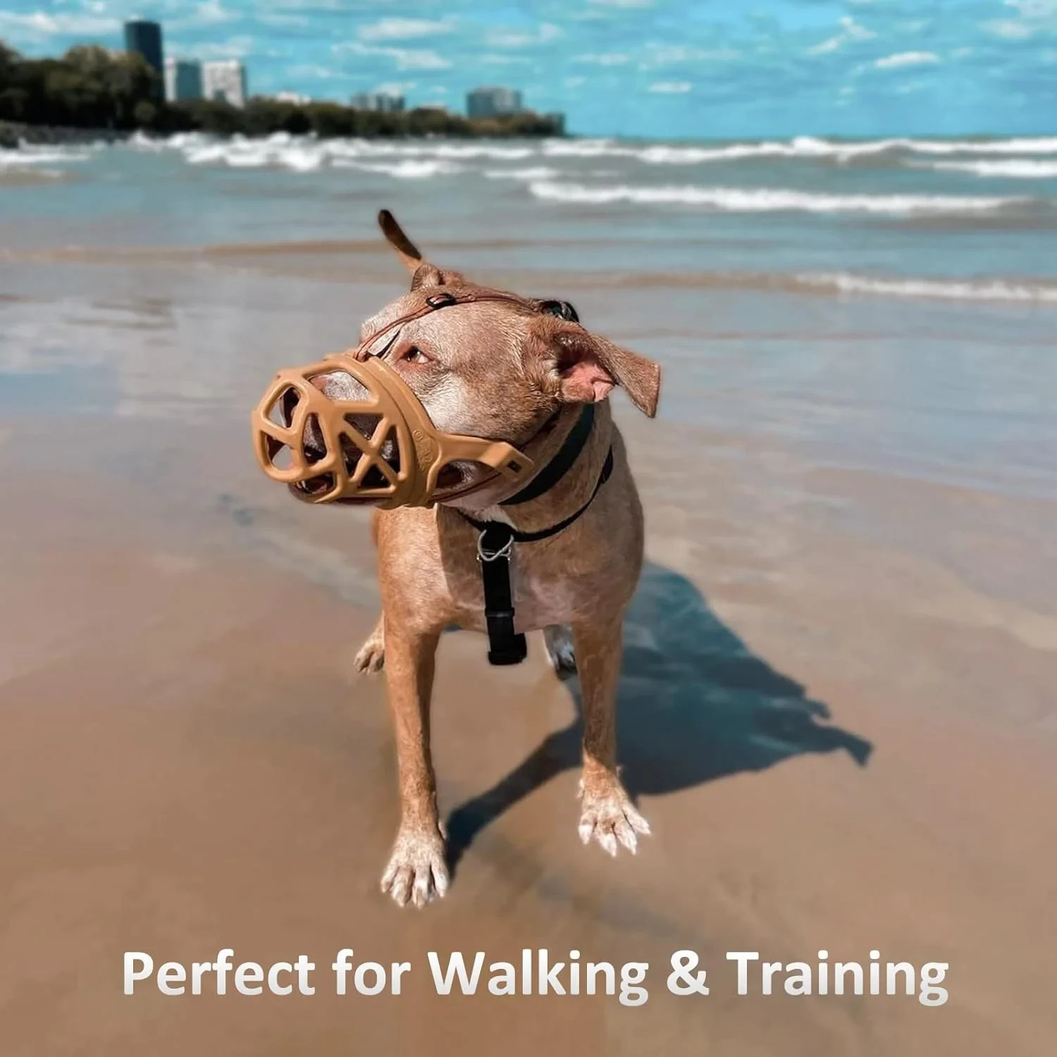 BARKLESS Dog Basket Muzzle for Biting, Humane Mouth Cover- Medium Brown