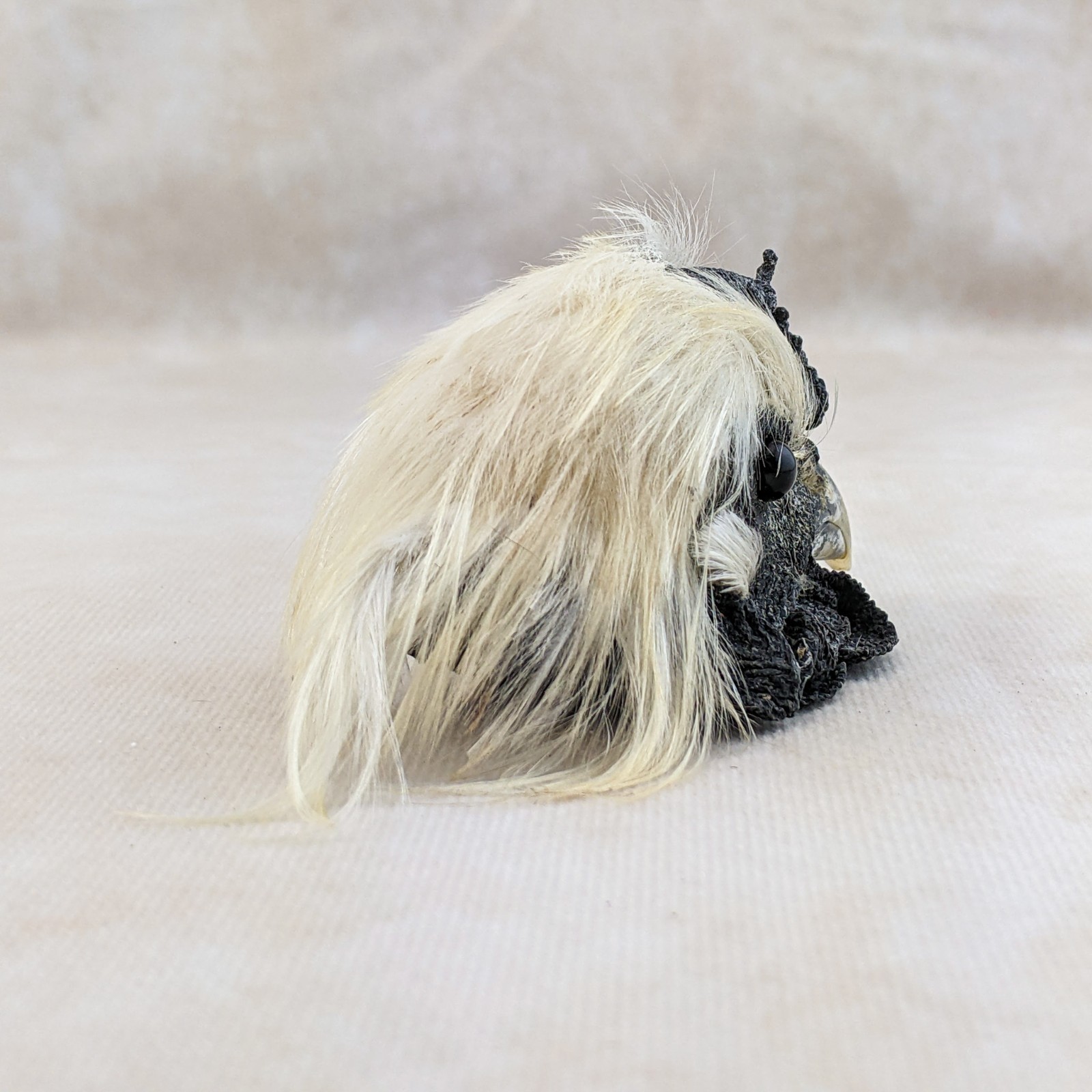 Chicken Rooster head Mount LG specimen crafts crafting Oddity Curiosity specim