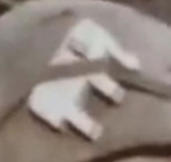 Vietnam War Era Wooden Elephant Puzzle Observed on US GI Helmets JAPAN #1