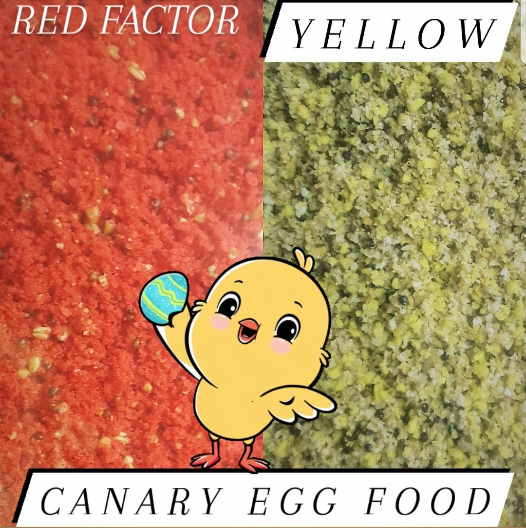 FRESH PROTEIN EGG FOOD All Birds Canary Finch Cockatiel Choose Size & Color!!!!!