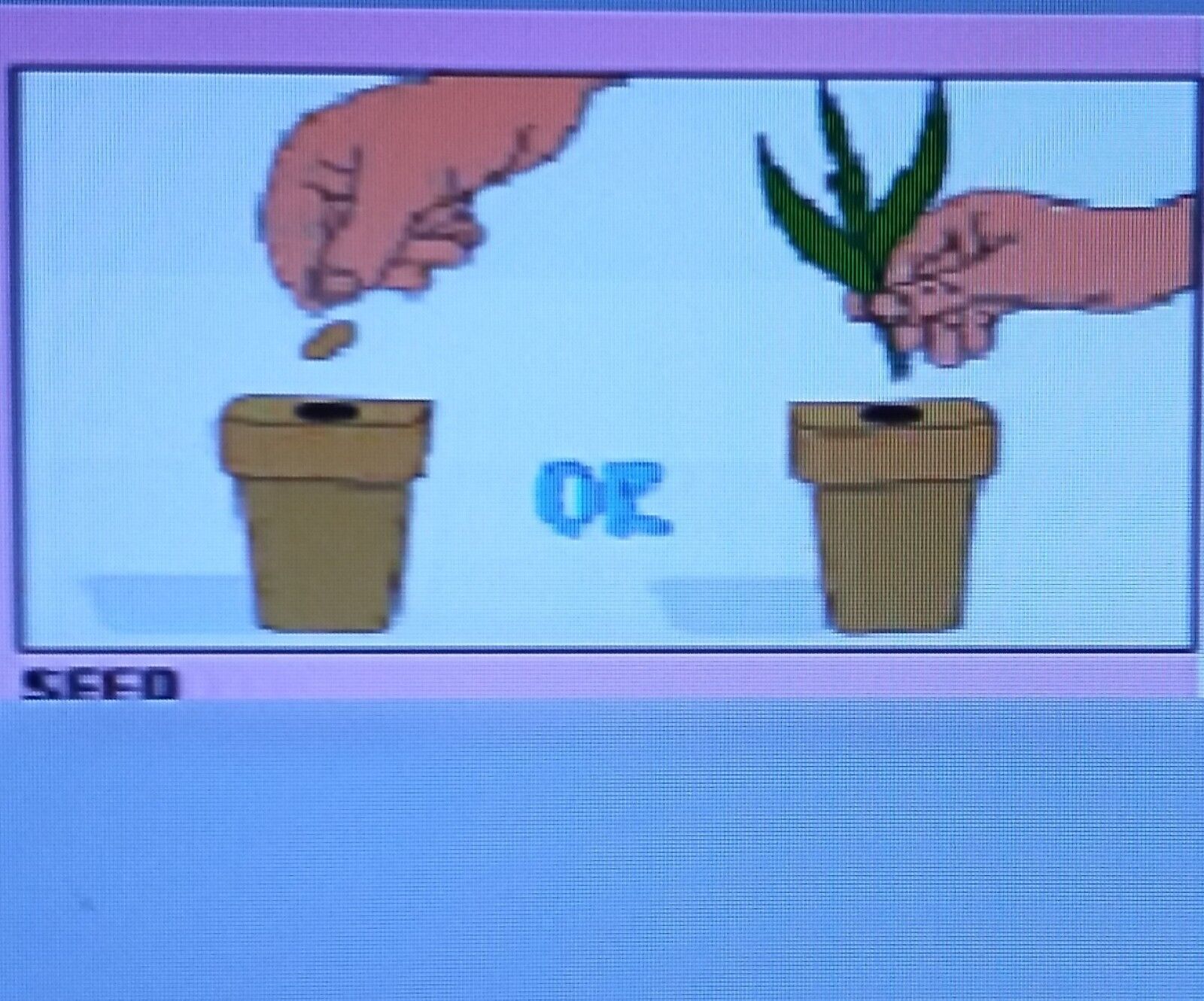 1.5 " GRODAN ROCKWOOL CUBES 2/6/12/28/ 50/100 (orders go same/next day ship-out)