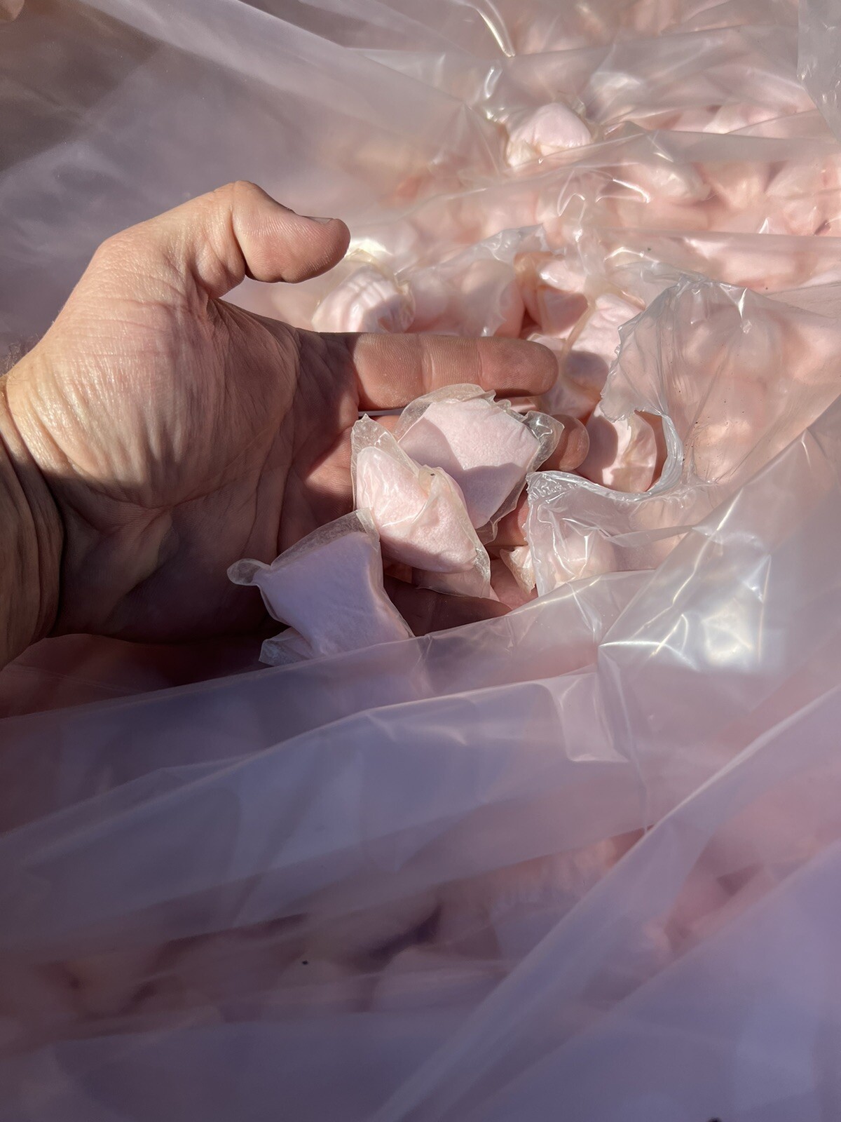 Laundry Scent Boost Pacs (Approx. 700 Ct. Box)