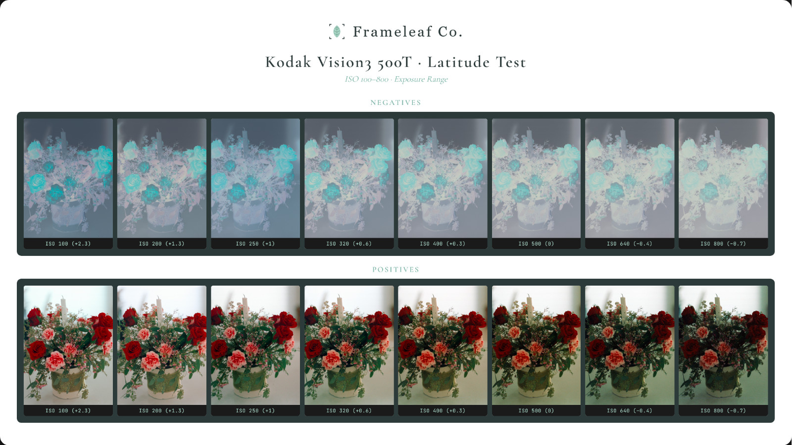 Kodak Vision3 500T 5219 35mm film 36exp iso 500 process ECN-2