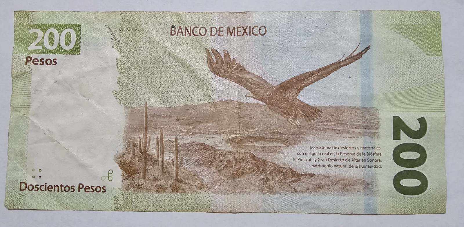 LOT OF 11 MIX BANKNOTE MEXICO 1998,1999,2018,2019,2021,2022.