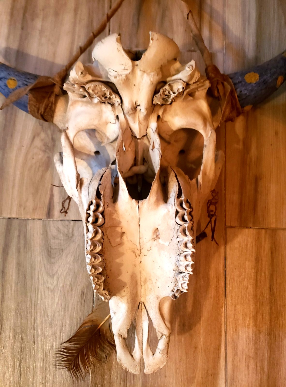 Native Hand Painted Buffalo Skull Blue And Yellow, Thunderbolts, Hung By Hyde