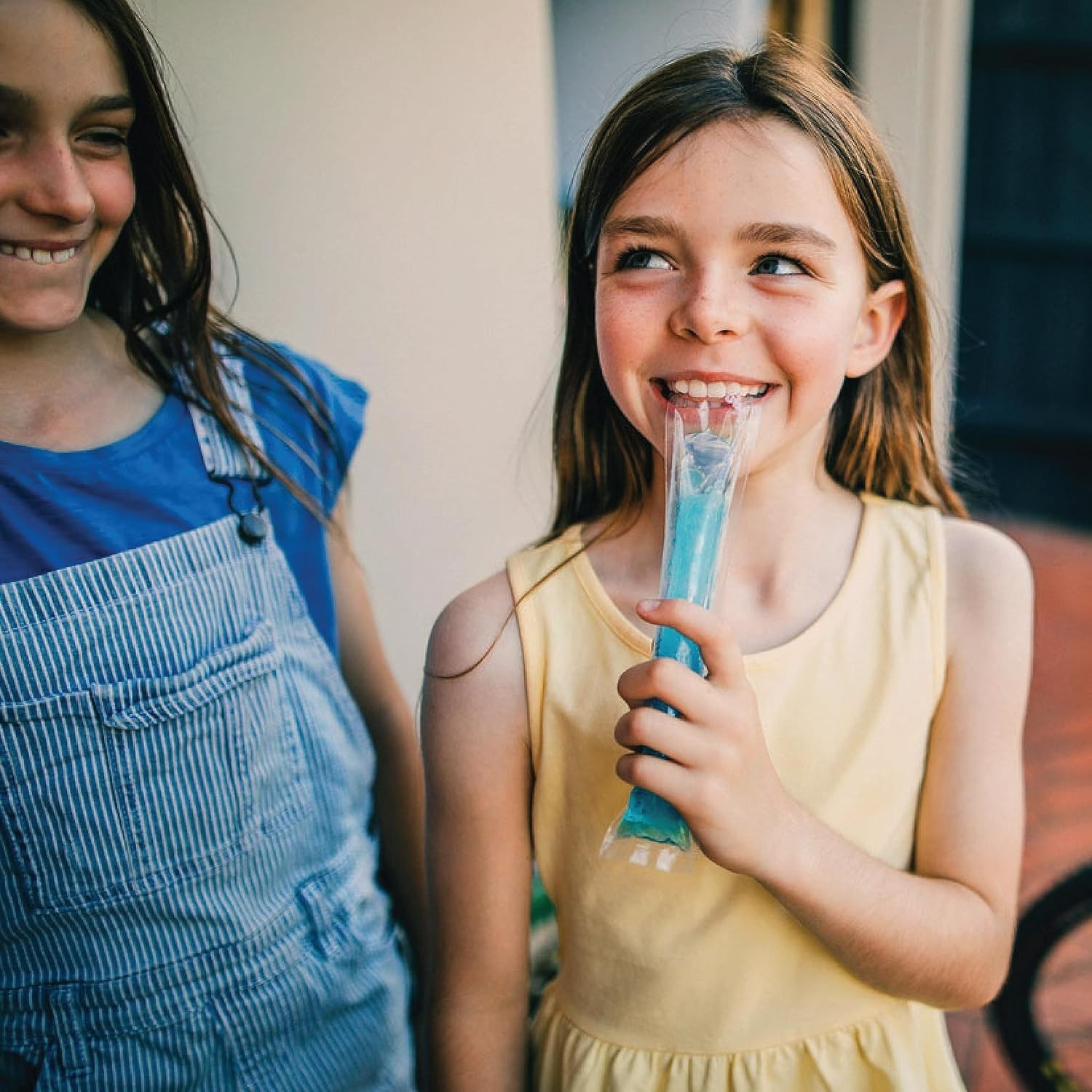 Wyler's Authentic Italian Ice, Fat Free Freezer Bars, Assorted Flavors 96ct