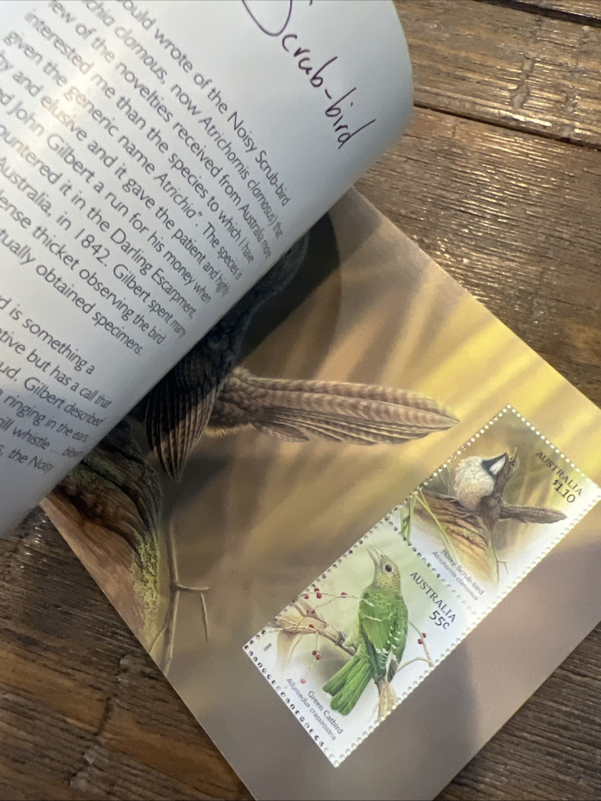 Lot Of 6: Australia Prestige: Dogs, Dangerous Aussies, Wallabies, Birds, Etc.