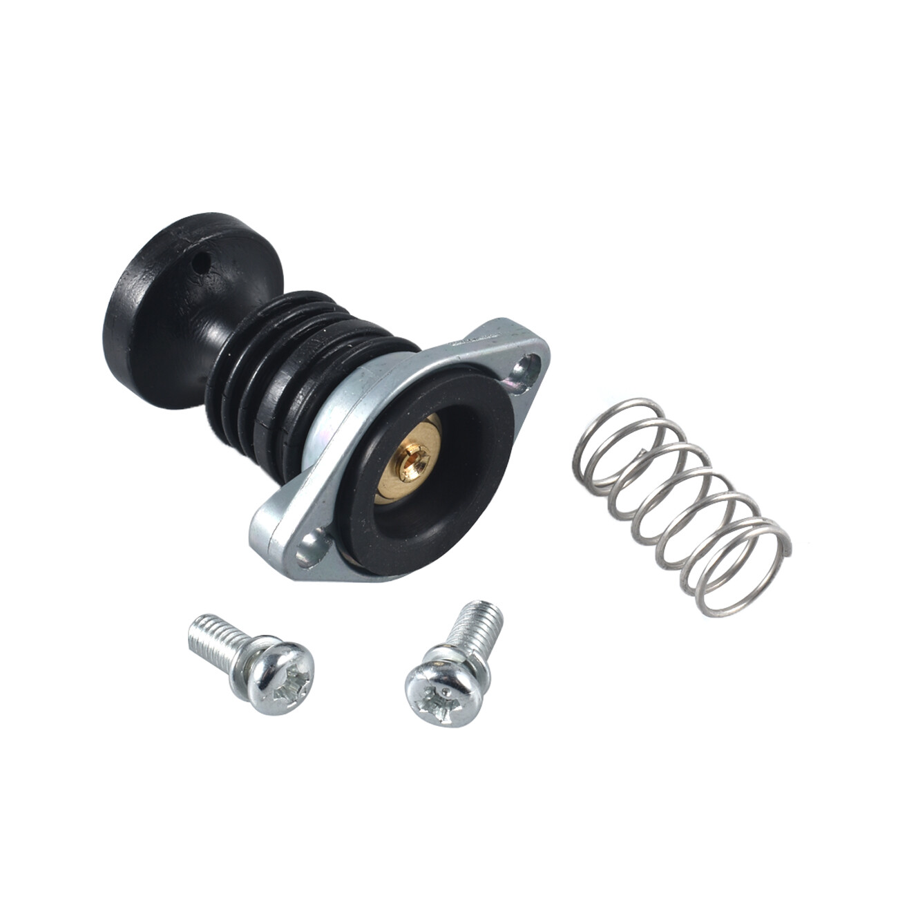 Carburetor Primer Pump Set Carb For 1988-2000 Honda TRX 300 Fourtrax ATVs