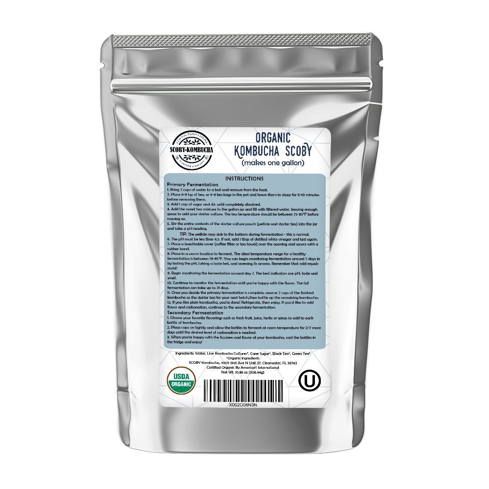 Scoby Kombucha FBA_LEPAZC5747 1 X Organic Kombucha Scoby-Live Culture