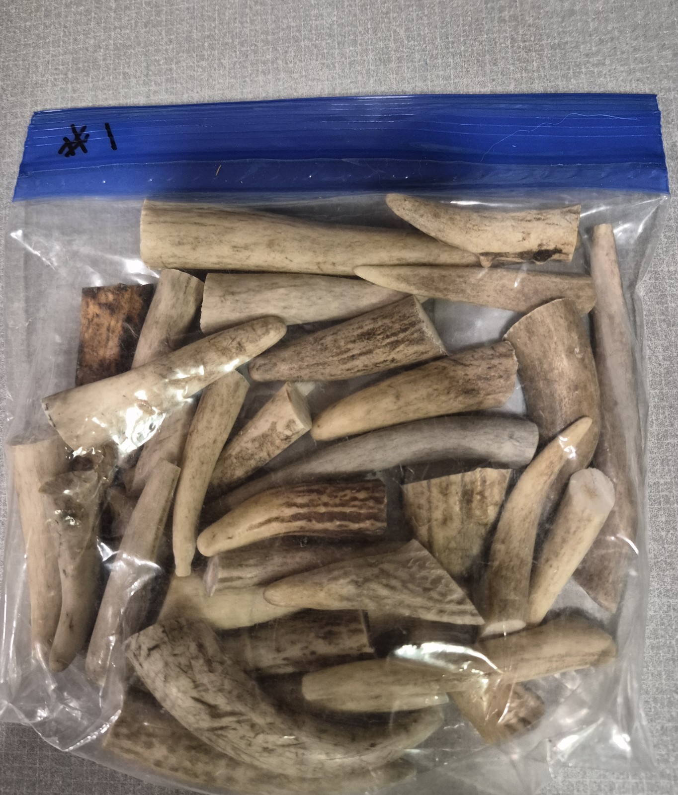 1# Bag Elk Antler Crafting Tips Count Varies.
