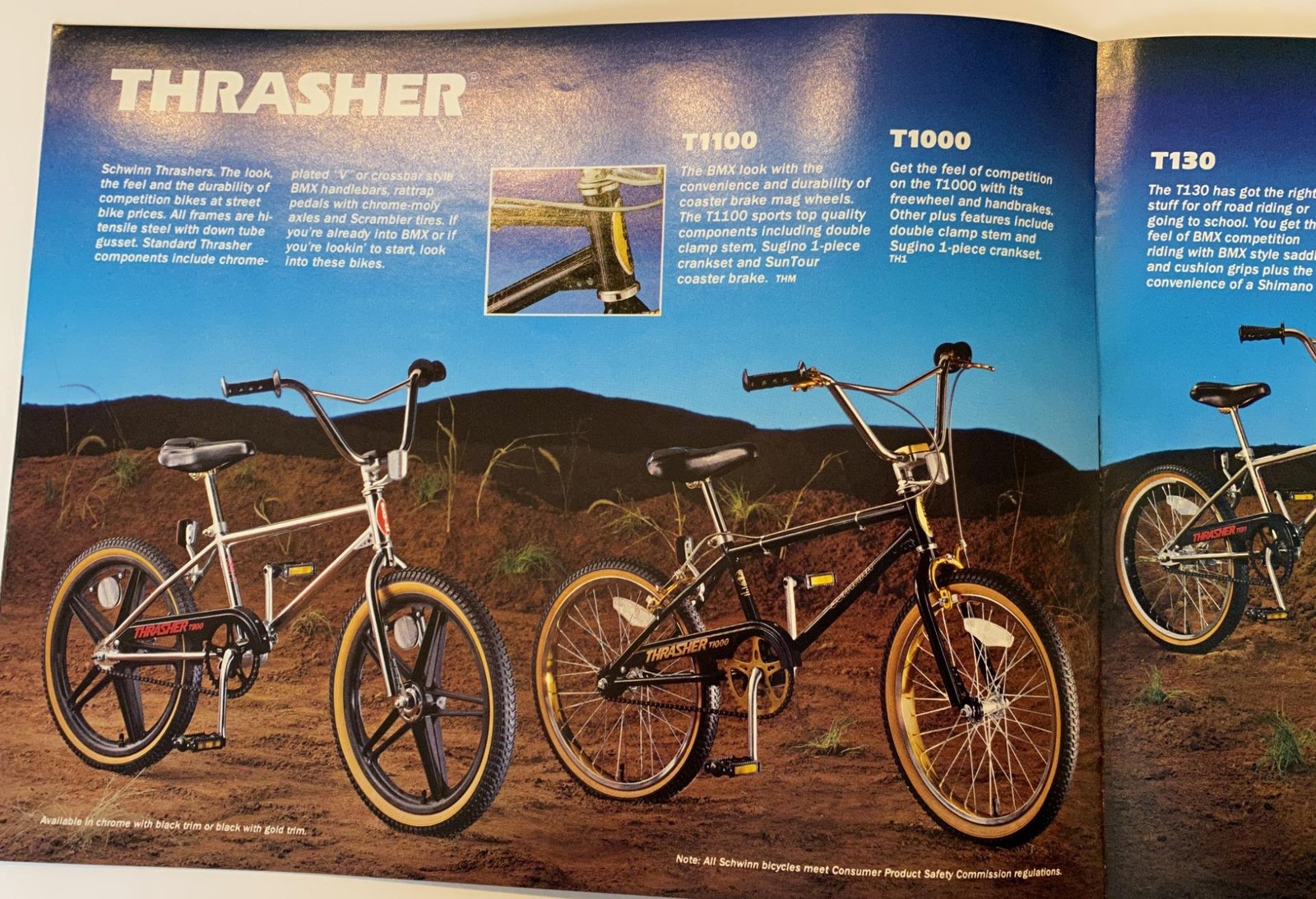 original 1984 Schwinn Bicycle Co. BMX CATALOG brochure Predator Sting Thrasher