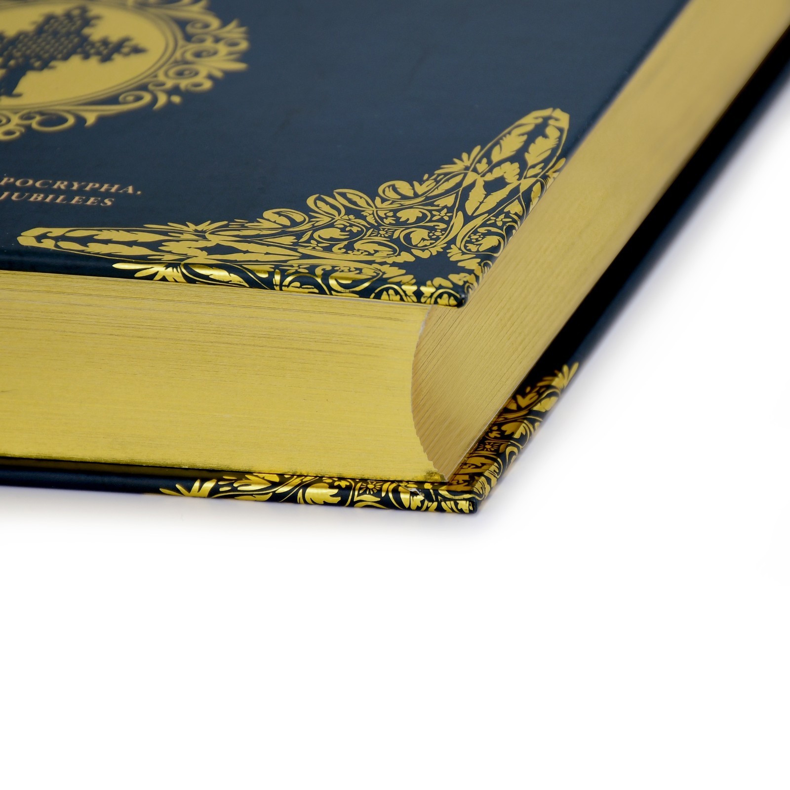 The Most Complete Ethiopian Bible by Asher Wilson, Deluxe Red Letter Edition