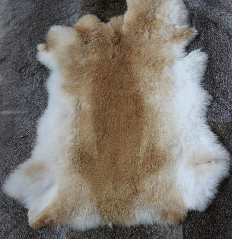 1 X Tanned Rabbit Skin Hide Pelt For Craft Animal Fur Decor Natural 8''-14''