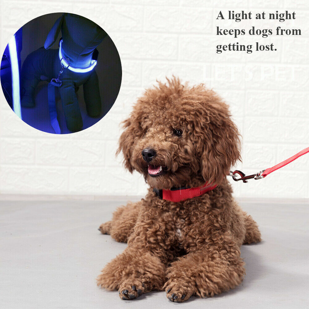 LED Dog Collar Blinking Night Flashing Light Up Glow Adjustable Pets Safety USA