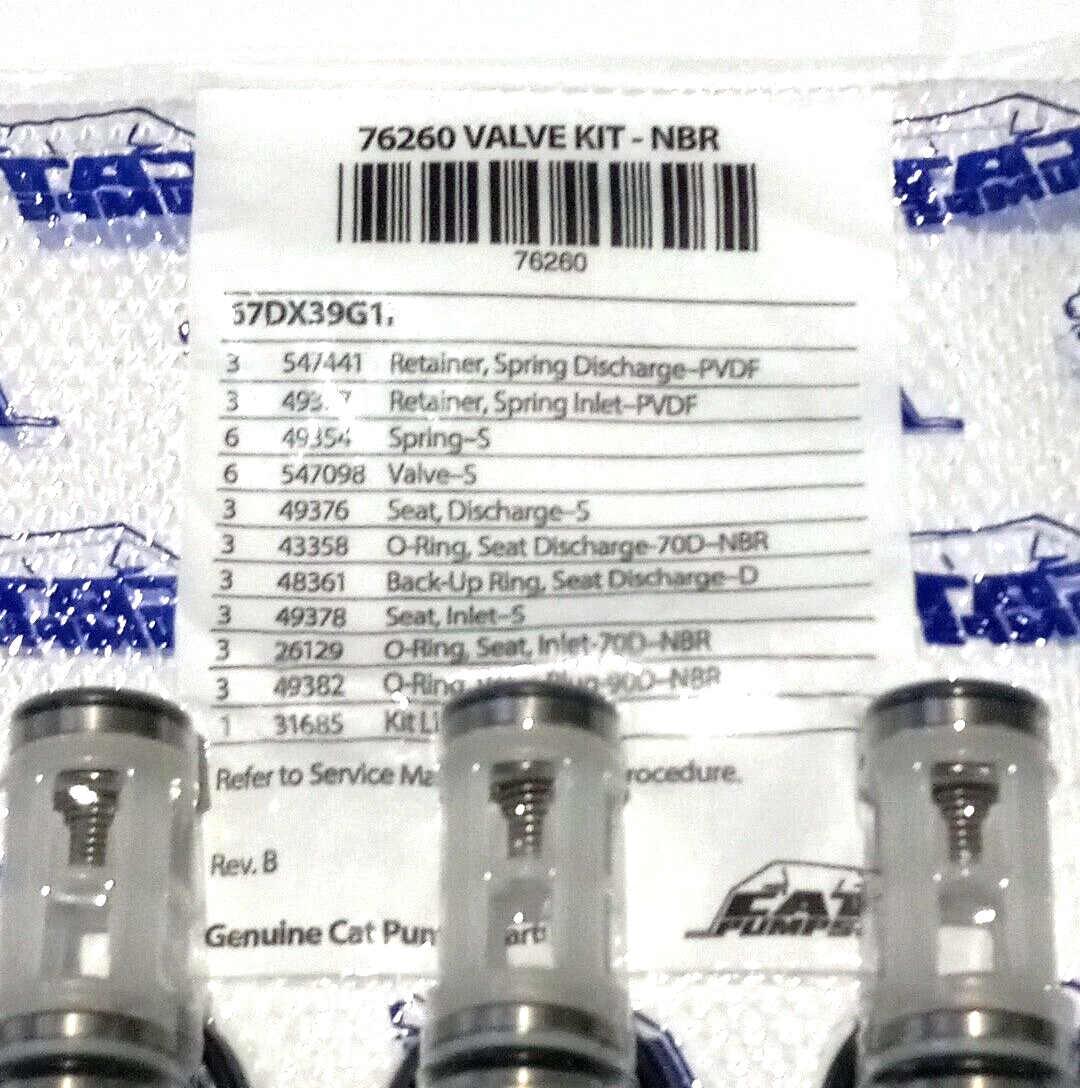 Cat Pumps 76260 Valve Kit 67DX39G1I OEM