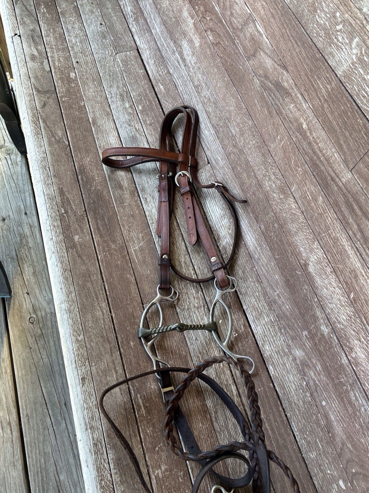 Champion Equine Headstall And Roy Robinson Snaffle Bit Good Condition