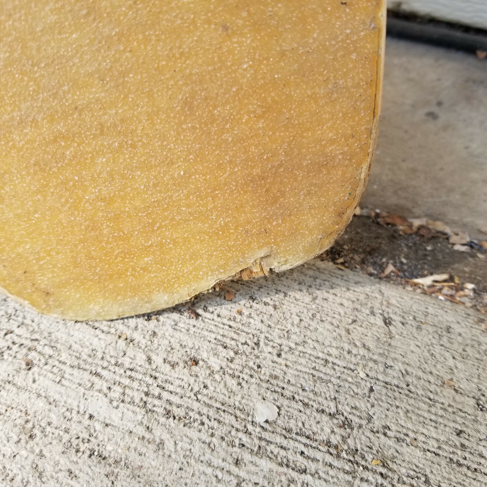 Vintage Sector 9 Longboard Independent Trucks