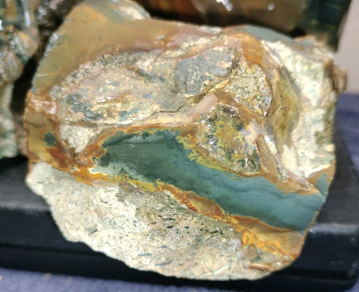 12LB ORBS Blue Mountain Picture of Jasper Rough 4pc Lot #21